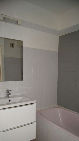 Location Appartement 1 pièce 49m² LYON 8ème - Photo 3