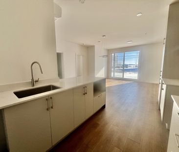 3 1/2 Immeuble Luxueux Avec Ascenseur - Photo 1