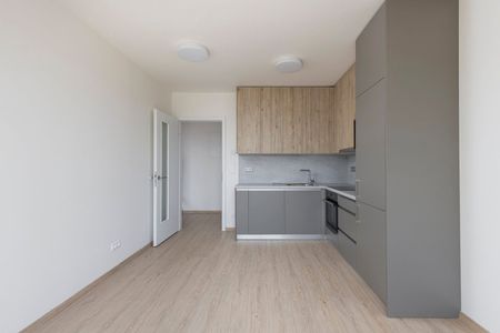 Pronájem bytu 2+kk • 47 m²Haenkeho, Praha - Řeporyje - Photo 4