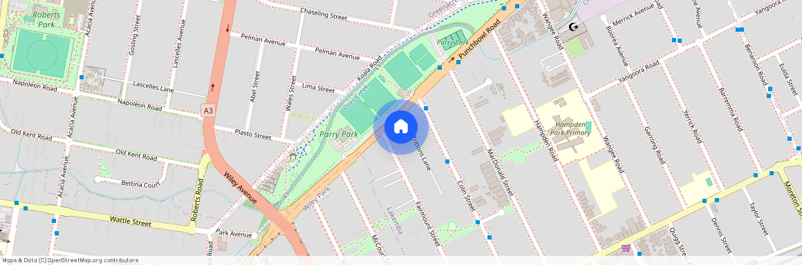 4/586 Punchbowl Road, NSW 2195, Lakemba