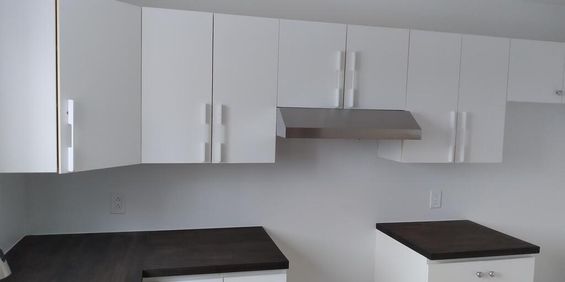 Mercier: 4 ½ Rénové, Chauffer-eau Chaude - Photo 3