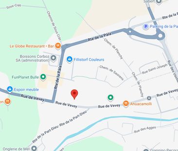 Vevey 250 / 2 1/2 pièces au dernier étage - Foto 6