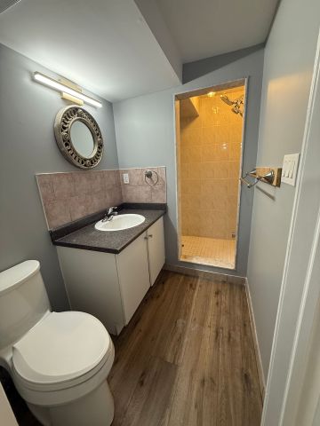 For Lease - 23 Glen Belle Crescent Unit# Bsmt, Toronto, Ontario - Photo 2