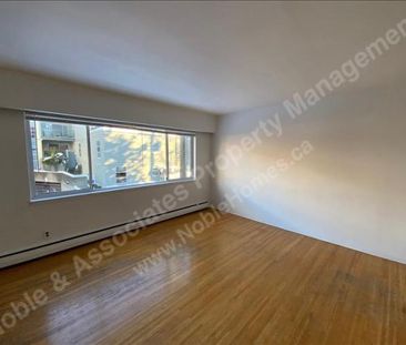 1XXXX Comox Street 205 Vancouver - Photo 6