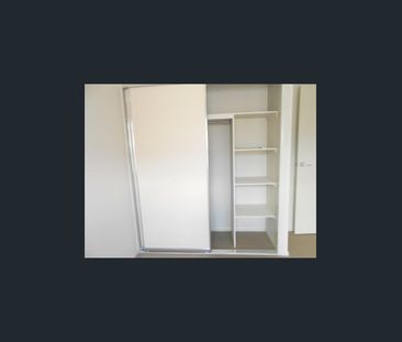 Stylish Family Home + Large 6x6 Powered Shed - Photo 3