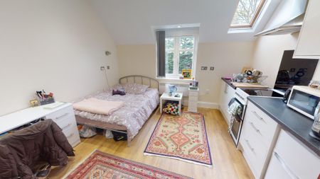 3 Raglan Road Edgbaston - Photo 2