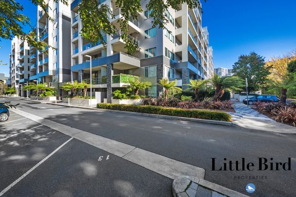 1/15 Coranderrk Street, City ACT 2601 - Apartment For Rent | Domain - Photo 1