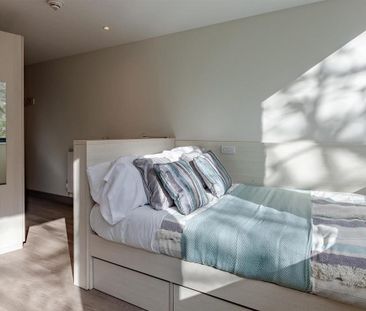 Studio to rent - Photo 6