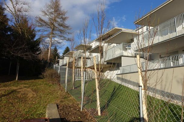 Nähe LKH: 4 ½ Zimmer, Terrasse, kleiner Grünbereich, Tiefgaragenplatz - Photo 1