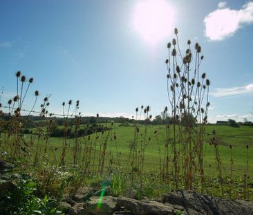 2 bedroom cottage to rent - Photo 6