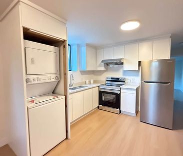 Brand New Basement Suite in Central Abbotsford - Photo 3