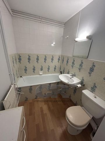 Location Appartement 1 pièce 25m² NANCY 54000 - Photo 4