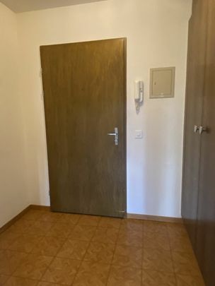 gemütliche und ruhige 2 1/2 Zimmerwohnung mit 2 Balkonen - Foto 1