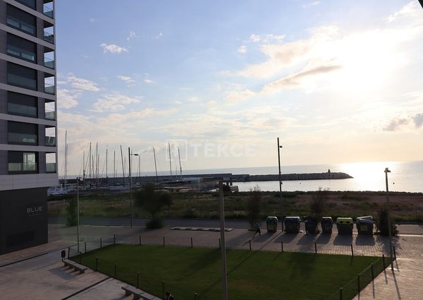 Badalona, La Morera, Barcelona, Catalonia 08918