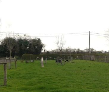 Buitenverblijf te huur in Eernegem voor € 1.250 met 4 slaapkamers - Photo 6