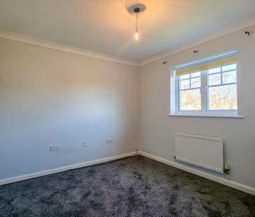 3 bedroom house to rent - Photo 5