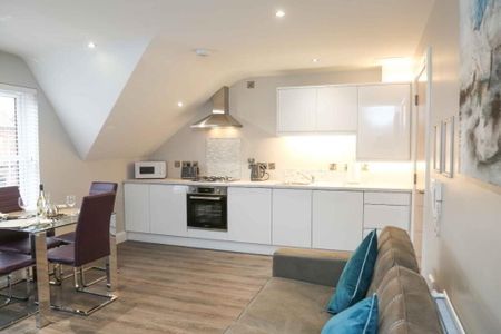 Apt 5, 61 Eglantine Avenue, Belfast, BT9 6EW - Photo 4
