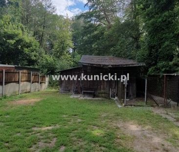 Piaseczno (gw), Piaseczno - Zdjęcie 4
