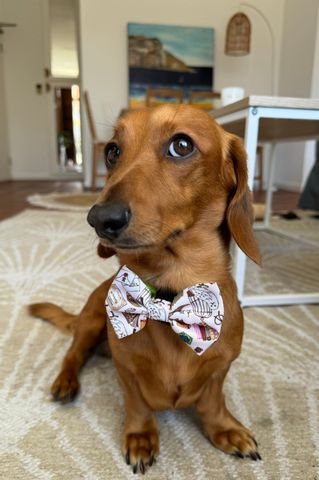 Bondi Beach - Photo 3