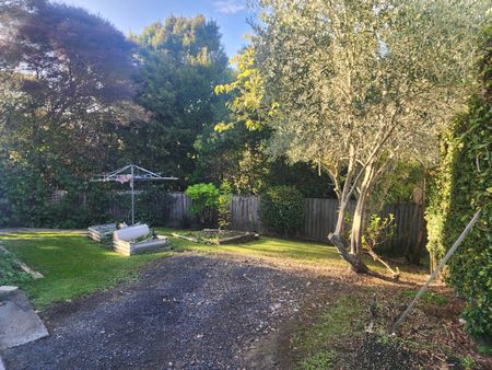 3/15 Trojan Crescent, New Lynn - Photo 4