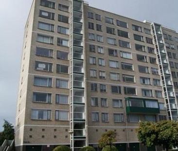 Forellendaal 2553 's-Gravenhage - Foto 6