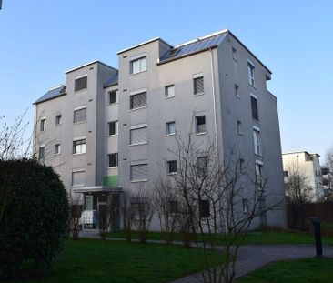 Your oasis of well-being in the Rietpark - Foto 3