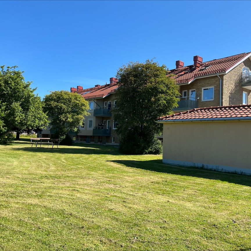 Stiftelsegatan, Getinge - Foto 1