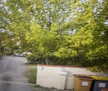 Location Appartement 3 pièces 70m² ALBI 81000 - Photo 1