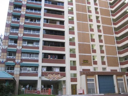 Blk 643 Eunos Tenaga Ville (Bedok), HDB Executive - For Rent - Photo 3