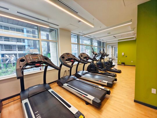 For Lease - 105 CHAMPAGNE Street Unit# 1116, Dows Lake - Civic Hospital and Area, Ontario - Photo 1