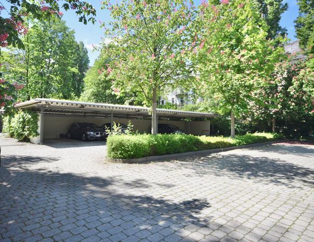 1-Raum Apartment • Laminat • Tageslichtbad mit Dusche • Stellplatz • Kaßberg • Anschauen & Mieten - Photo 1