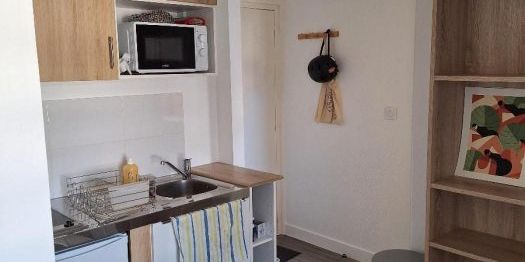 Appartement à louer, 1 pièce - Angers 49100 - Photo 3