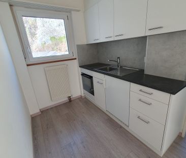 Helle 1.5-Zimmerwohnung im zweiten Stock zu vermieten - Foto 2