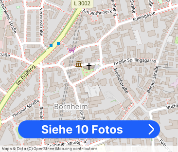 Tolle helle Wohnung mit riesigen Balkon in ruhiger Lage Bornheims - Foto 1