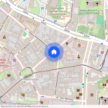 ul. Feliksa Nowowiejskiego, Centrum, Stare Miasto, Poznań, wielkopolskie