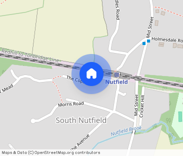 The Copse, South Nutfield, RH1 - Photo 1