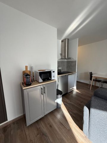 Location Appartement 1 pièce 26m² - Photo 3