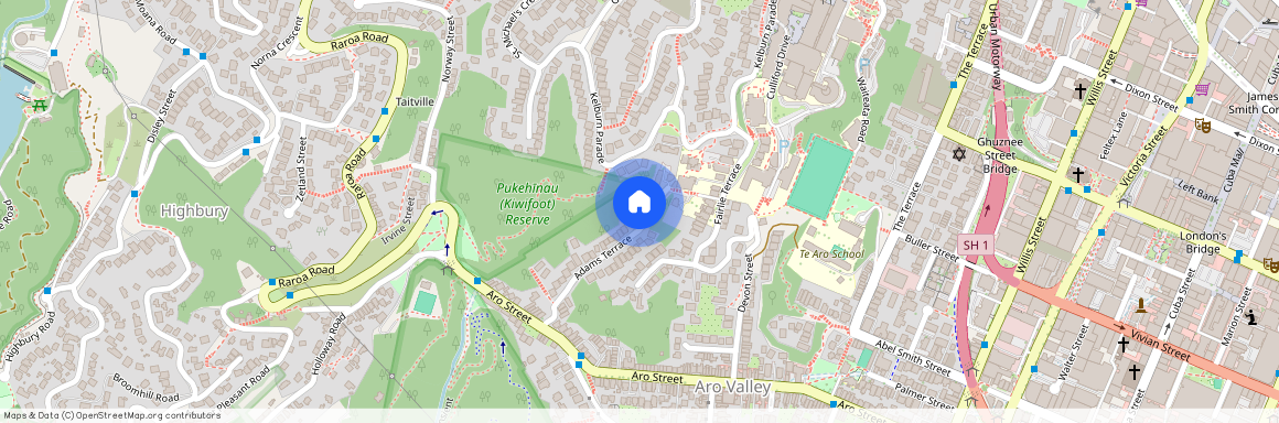A - 45 Adams Terrace, Aro Valley