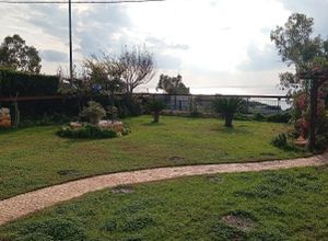 Μονοκατοικία για ενοικίαση - Κορωπί, - Photo 4