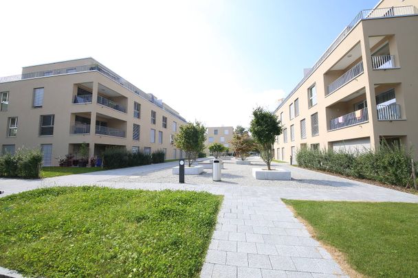 Moderne Wohnung mit viel Platz - Foto 1