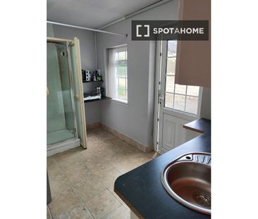 Studio for rent in Dublin - Photo 4