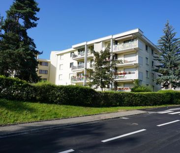 Location Appartement 2 pièces 45m² MEYTHET 74960 - Photo 4