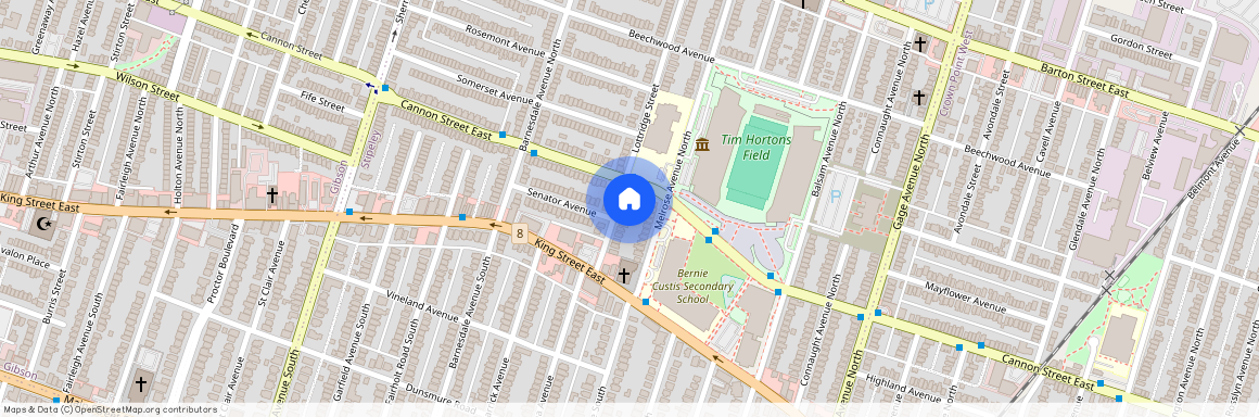 26 Lottridge Street, Hamilton