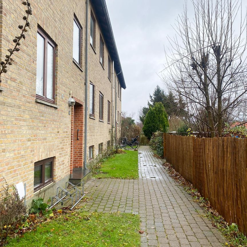 Bright and lovely 2-bedroom apartment with private garden - Photo 1