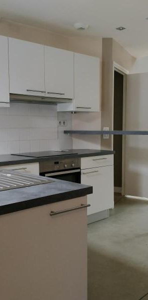 Location Appartement 3 pièces 53m² LILLE 59000 - Photo 1