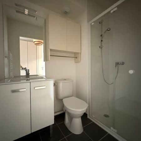 Location Appartement 1 pièce 20m² MAROMME 76150 - Photo 3