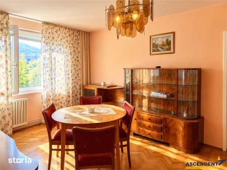 Pet friendly! Apartament doua camere, Bulevardul Victoriei, Brasov - Fotografie 4