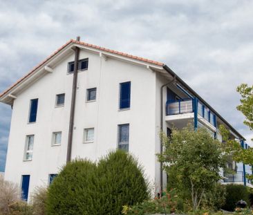 Appartement de 3.5 pièces au rez-de-chaussée - Foto 1