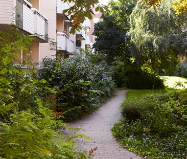 Barkmansgatan 3, Rådmansvången - Foto 5