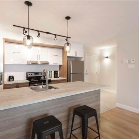 Grand 4 1/2 à louer à Beauport - Photo 3